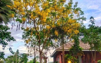 Ideal for Digital Nomads and Long-Stay Travelers