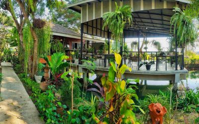 Discovering the Best Homestay Experience