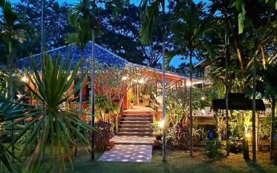 Finding the Best Homestay in Chiang Mai