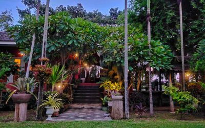 The Charm of “Slow Life” in San Patong