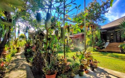 Finding Your Soul in Northern Thailand