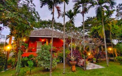 Best Homestay in Chiang Mai – Discover Peaceful Living at Homestay Yuva