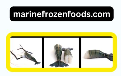 Wholesale Frozen Tilapia: Versatile Seafood for Foodservice and Food Manufacturing