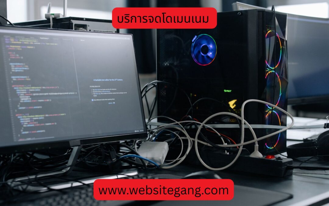 บริการจดโดเมนเนม3256622